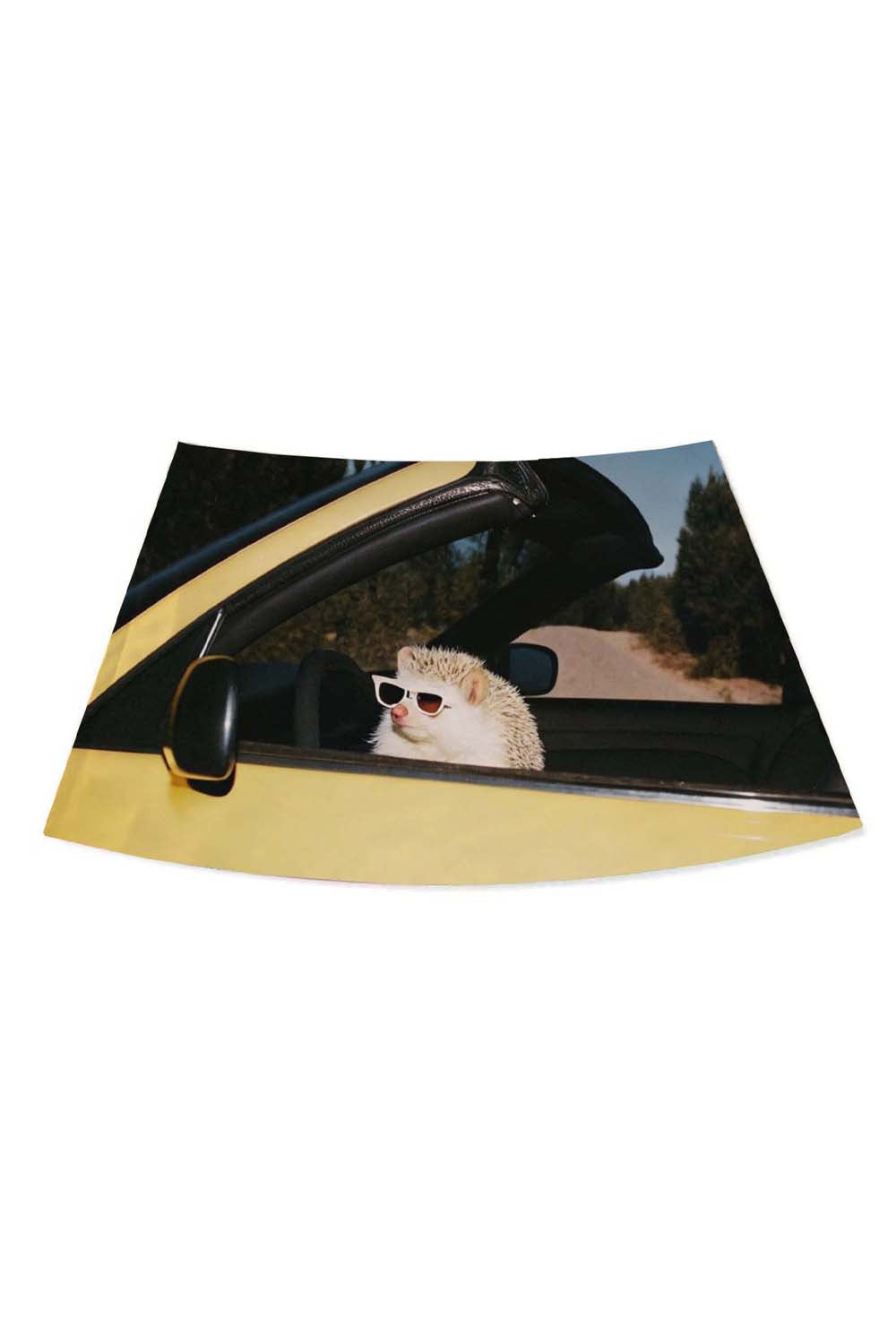 Hedgehog Driving Y2K Print Mini Skirt